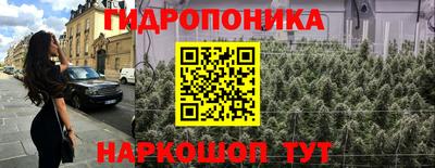 молекула духа Заводоуковск