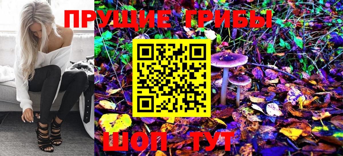 Галлюциногенные грибы Magic Shrooms  Псилоцибиновые грибы ЛСД  Вход с VPN  как найти наркотики  Мариинск 